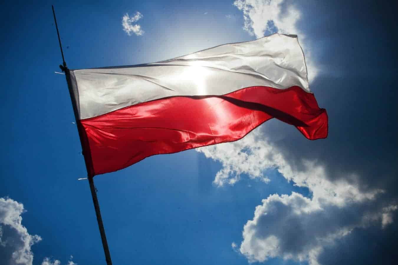Relocating in Central European countries : Nearshoring and outsourcing inside the European Union through the example of Poland