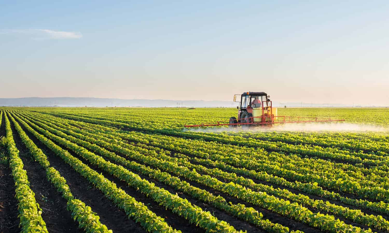 La République Tchèque renforce l’industrie et la sécurité alimentaire