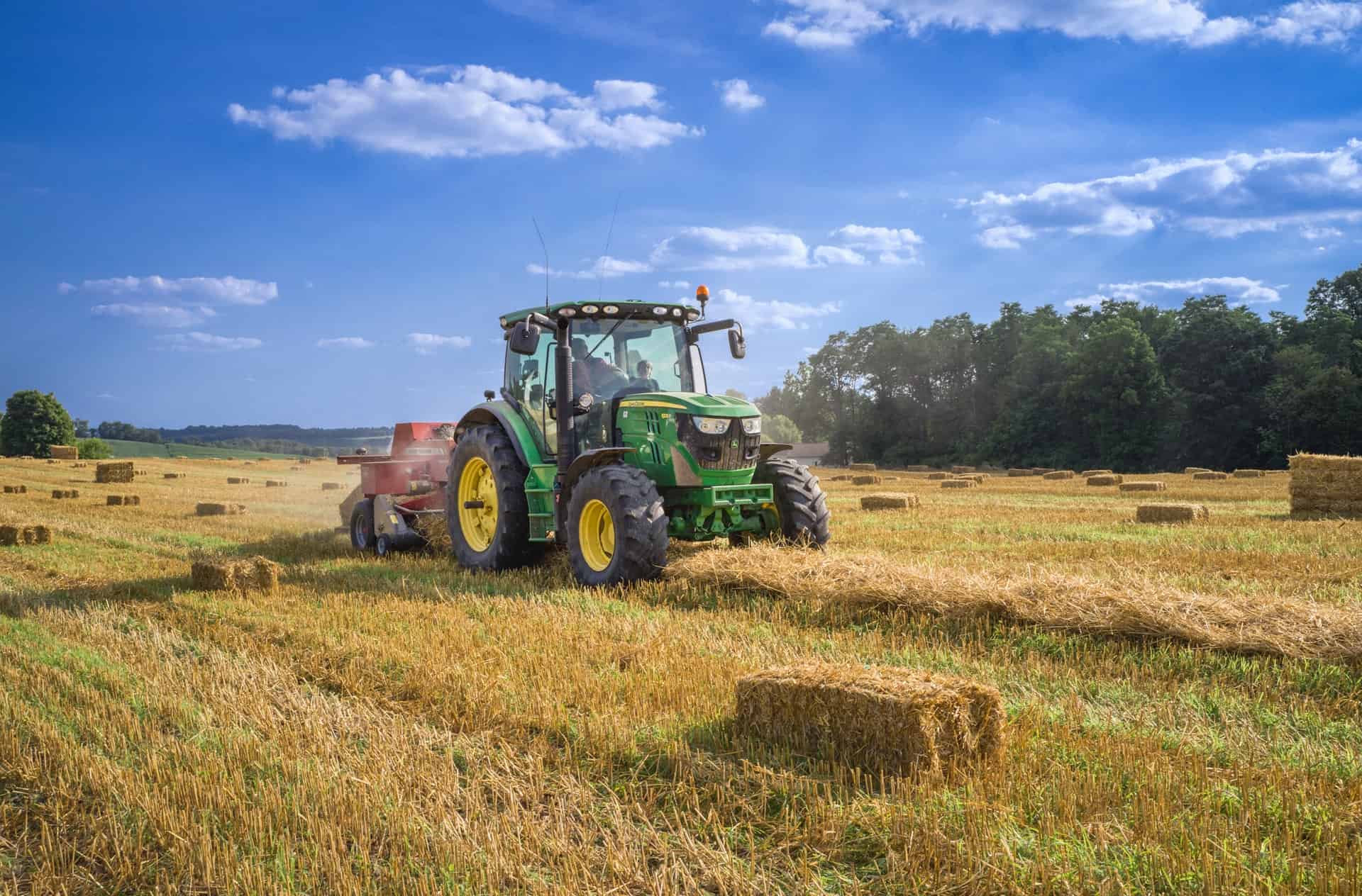 Piața agricolă din Slovenia