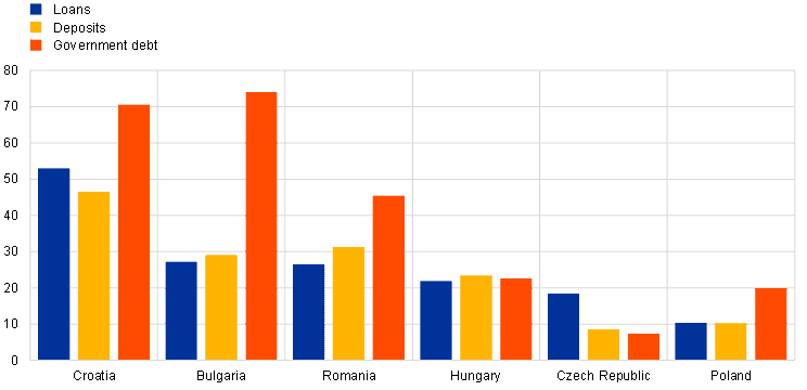 Share of euro-denominated loans, deposits and government debt