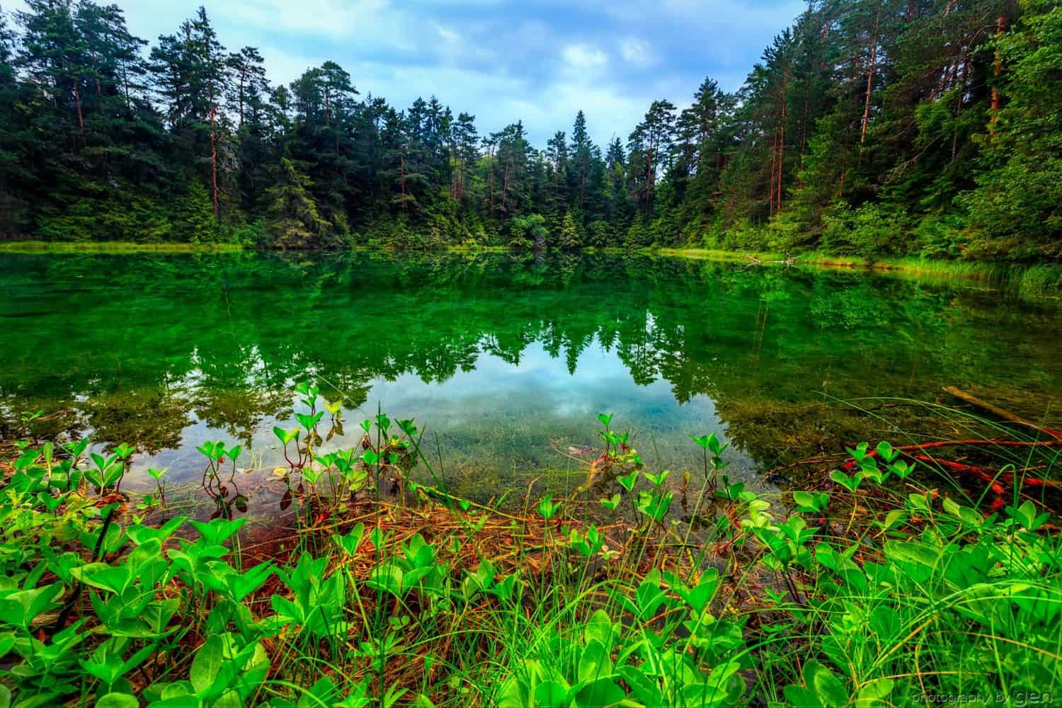 Lake Peidra Estonia