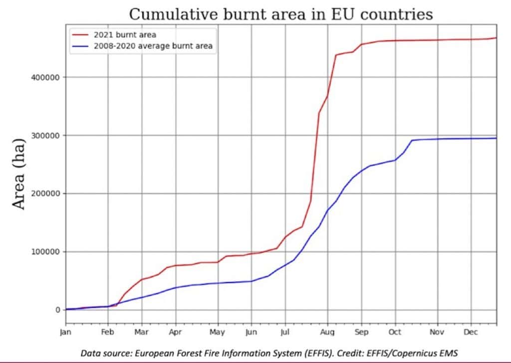 Wildfire Europe