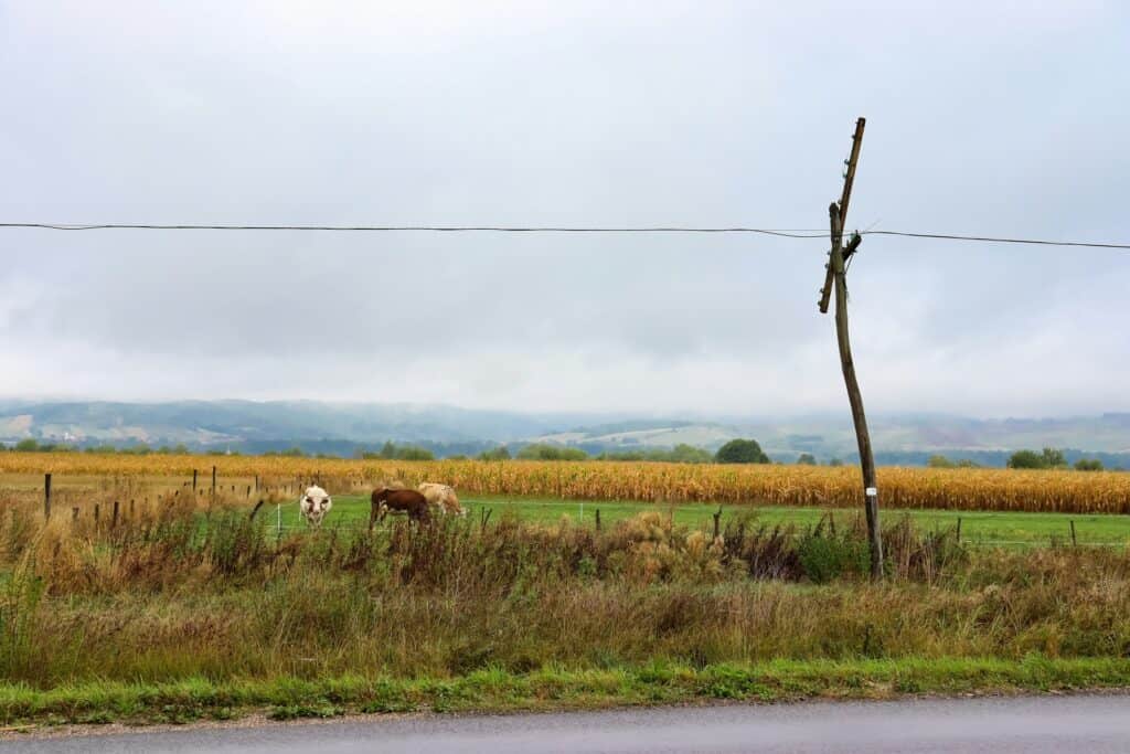Romania grid